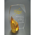 Large Randolf Optical Crystal Award